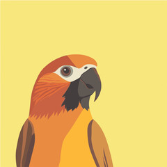 Obraz premium Vibrant Vector Parrot Illustration on Yellow Background