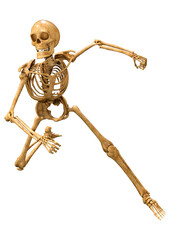 3D Rendering Human Skeleton on White