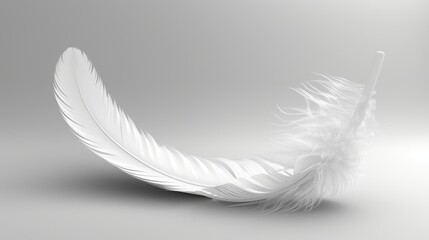 Obraz premium Isolated White Feather on Light Grey Background, Abstract Soft Wave Pattern, Macro Detail View