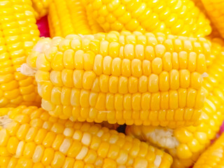 close up of corn