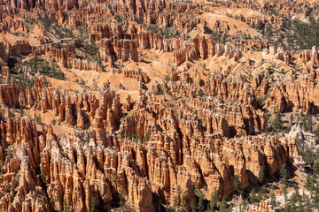 A beautiful view of Hoodoos with greenery and red rocks in Bryce Canyon, Utah.
