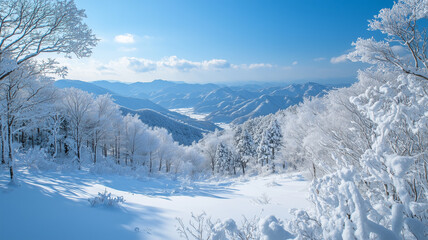 Obraz premium 雪化粧の大分の冬景色