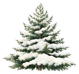 Fototapeta premium PNG Snow-covered evergreen tree illustration