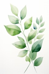 illustration green watercolor leaves on a white background