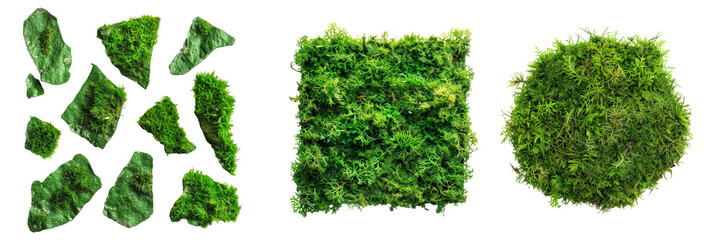 Fototapeta premium Green moss pieces on isolated transparent background