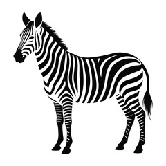 zebra animal silhouette vector isolated on a white background © miraj_designer