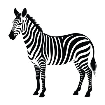 zebra animal silhouette vector isolated on a white background
