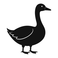 goose isolated on white background