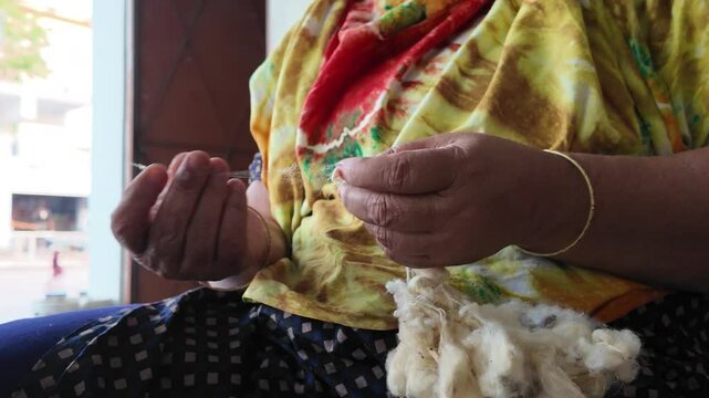 Cocoon silkworms in a silk factory, Rajshahi Division, Rajshahi, Bangladesh
