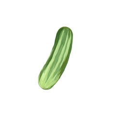 cucumber icon illustration on white background