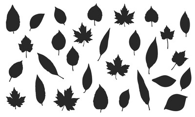 set of silhouettes of various leaves