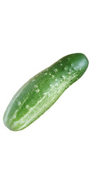 Imagem isolada de um pepino orgânico natural, fundo transparente, png.