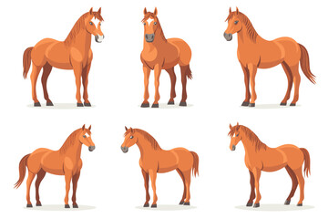 Horse poses. Wild horses walking or gallop running pose, arabian mare farm animal hoof gait trotter run grazing thoroughbred, set cartoon ingenious vector illustration of animal wild stallion design