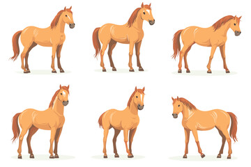 Horse poses. Wild horses walking or gallop running pose, arabian mare farm animal hoof gait trotter run grazing thoroughbred, set cartoon ingenious vector illustration of animal wild stallion design