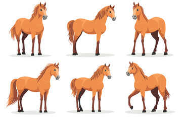 Horse poses. Wild horses walking or gallop running pose, arabian mare farm animal hoof gait trotter run grazing thoroughbred, set cartoon ingenious vector illustration of animal wild stallion design