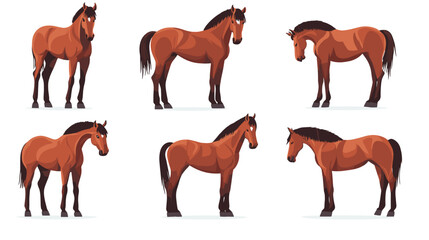 Horse poses. Wild horses walking or gallop running pose, arabian mare farm animal hoof gait trotter run grazing thoroughbred, set cartoon ingenious vector illustration of animal wild stallion design
