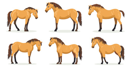 Horse poses. Wild horses walking or gallop running pose, arabian mare farm animal hoof gait trotter run grazing thoroughbred, set cartoon ingenious vector illustration of animal wild stallion design