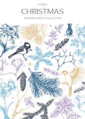 Vintage Christmas card design. Winter nature background. Conifer trees, winter flowers, bird sketches. Hand-drawn vector illustration. NOT AI generated
