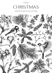 Vintage Christmas card design. Winter nature background. Conifer trees, winter flowers, bird sketches. Hand-drawn vector illustration. NOT AI generated
