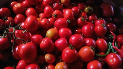 Fresh Red tomatos at market