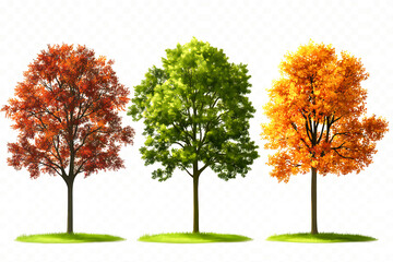 Fototapeta premium autumn fall season forest woods nature trees