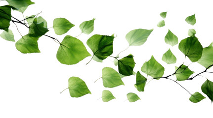 Obraz premium PNG Ink green leaves backgrounds plant leaf.
