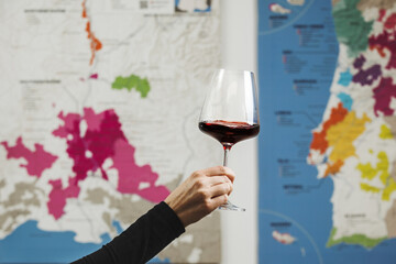 Female Hand Holding Glass of Red Wine in Front of Colorful Wine Map © Ilshat