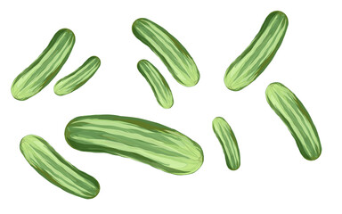 illustration of some fresh cucumbers