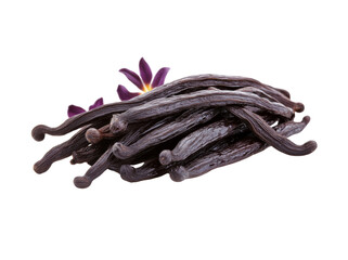 A minimalistic arrangement of vanilla pods and a vanilla flower, set against a clean white background, highlighting the simple elegance of the natural ingredients