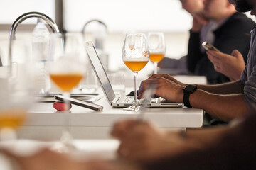 Sommeliers are Studying on Lecture in the Basics of Brewing. Beer Tasting. Craft Beer.