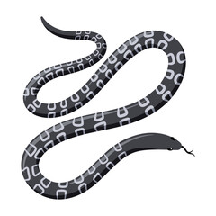 Naklejka premium Black exotic tropical snake. Cartoon flat illustration
