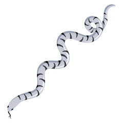 Naklejka premium White exotic tropical snake. Cartoon flat illustration