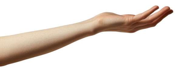 PNG Hand holding finger adult gesturing.