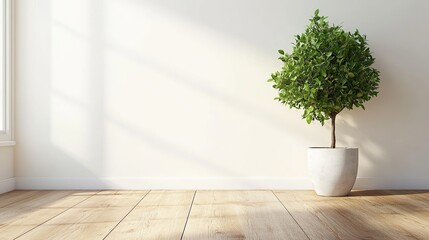 白背景と観葉植物18