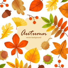 Autumn vector background with foliage for card, invitation or web banner. Greenery and floral elements in a contemporary style