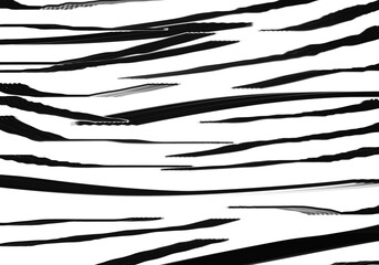 Zebra striped animal background