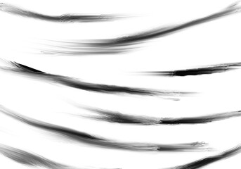 Zebra striped animal background