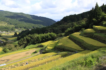 棚田千枚田