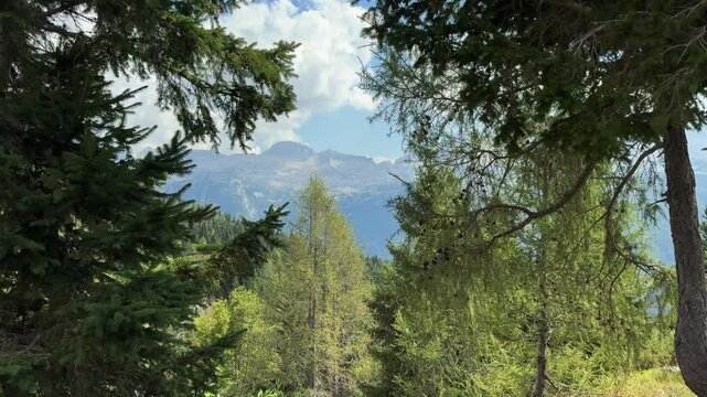 View of the Mountains in the Alps nicely framed by trees.