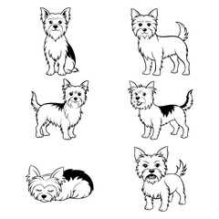 Yorkshire terrier dog standing and lying down, crouching and sleeping. Set of vector sketches in line art style