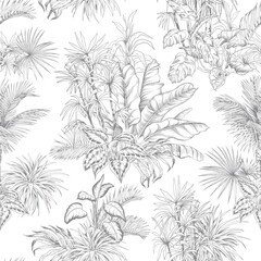 Seamless pattern with tropical leaves on white background. Hand drawn line art vector.