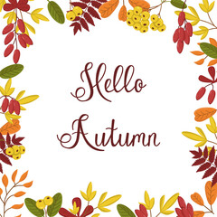 Vector frame of leaves and berries of barberry and pyracantha. Botanical illustration for greeting card and banner. Autumn background with text.