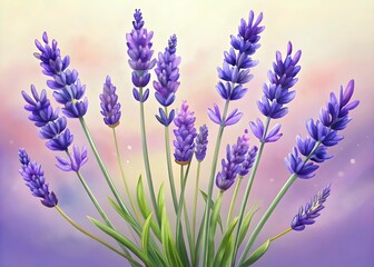 Naklejka premium Lavender Flowers Blooming Vibrant Purple Garden Nature Serenity