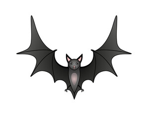 Bat - vector full color illustration. A cute gray bat in flight. the flying fox is a bats mammal.	