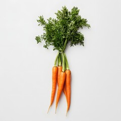 176. A fresh bunch of carrots isolated on a plain white background