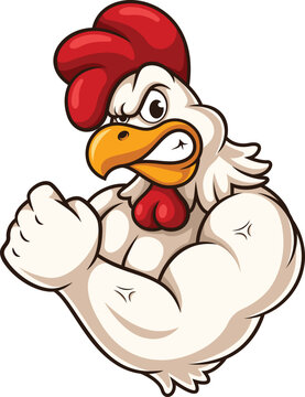 Cartoon strong chicken mascot character vector illustration