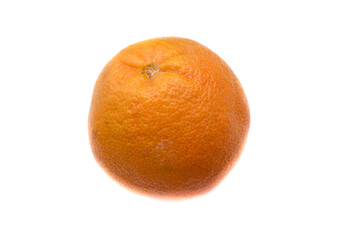 Orange fruit on white background.