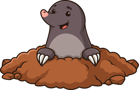 Cartoon mole in hole vector illustration