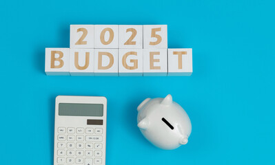 Concept of New year 2025 budget