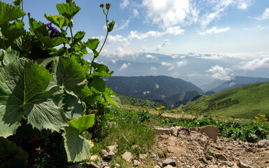 view of the Caucasian Mountains in Krasnaya Polyana and Rosa Khutor